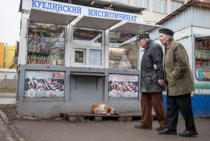 Пермь. Бездомные  собаки на рынке.