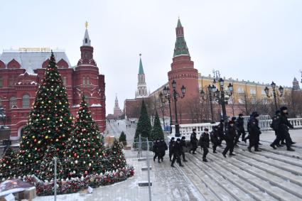 Москва.  Елки, украшенные к Новому году, на Манежной площади.