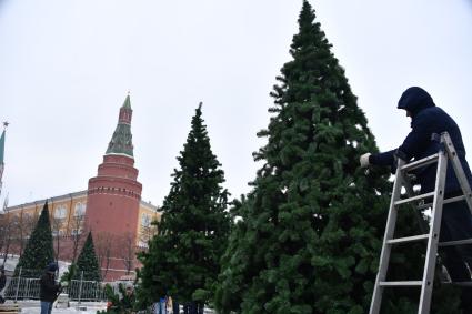 Москва.  Монтаж елок к Новому году, на Манежной площади.