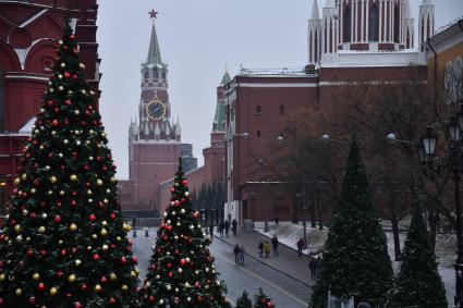 Москва. Елки, украшенные к Новому году, на Манежной площади.