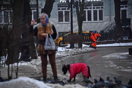 Москва. Выгул собак.