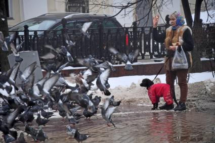 Москва. Выгул собак.