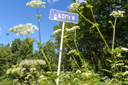 Тверская область, Волговерховье. Исток Волги.