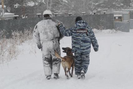 Иркутск. Служебная собака во время занятий с кинологом в Центре кинологической службы ГУ МВД.