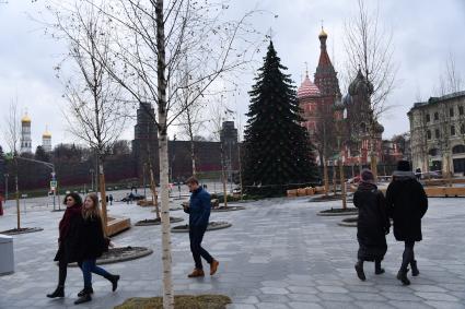 Москва. Установка новогодней ели в парке `Зарядье`.