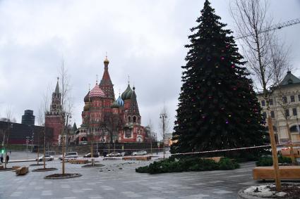 Москва. Установка новогодней ели в парке `Зарядье`.