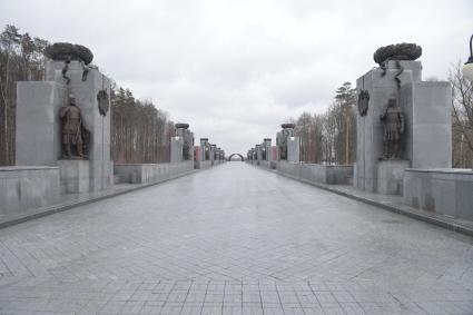 Мытищи. Федеральное военное мемориальное кладбище. Аллея Героев.
