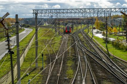 Санкт-Петербург. Техническое обслуживание высокоскоростного поездов `Ласточка` ЭВС-1  `Сапсан` в моторвагонном депо Санкт-Петербург - Московское.