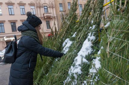 Санкт-Петербург. Продажа елок на елочном базаре.