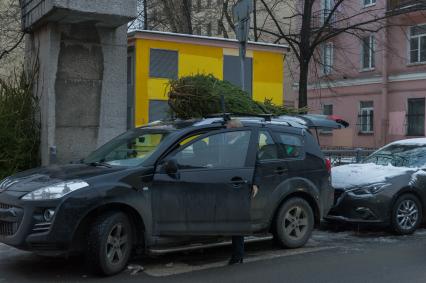 Санкт-Петербург. Елка на багажнике автомобиля.