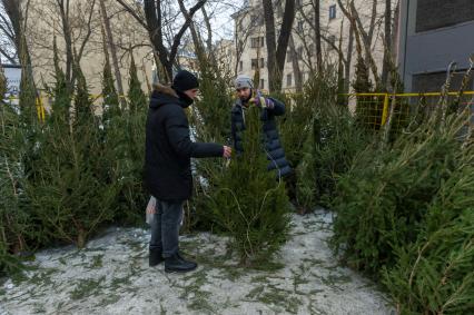 Санкт-Петербург. Продажа елок на елочном базаре.