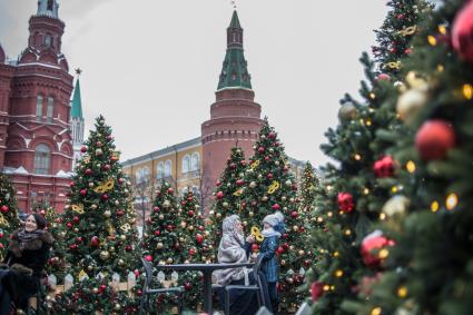 Москва. Женщина с девочкой  у новогодних  елок на  Манежной Площади.