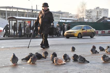 Москва. Пожилая женщина идет мимо  стаи голубей.