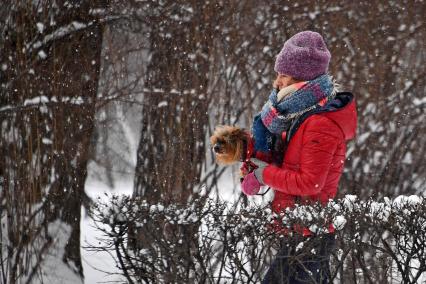 Москва.  Девушка гуляет в парке с собакой.