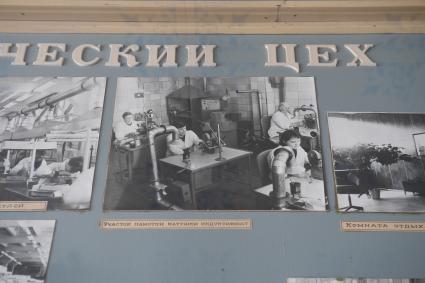 Русиново.  Архивное фото  Боровского  предприятия  `Рус и Ново Пак`  Всероссийского общества слепых.