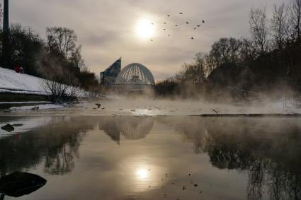 Екатеринбург. Утки на реке Исеть во время сильных морозов