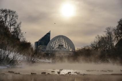 Екатеринбург. Утки на реке Исеть во время сильных морозов