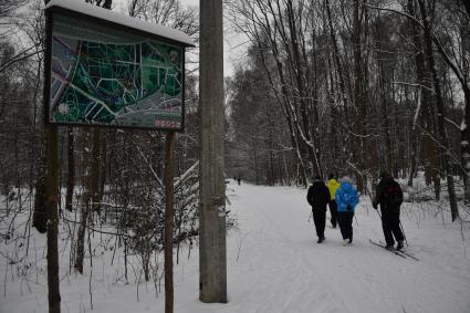 Москва. Отдых москвичей в парке `Лосиный остров`.