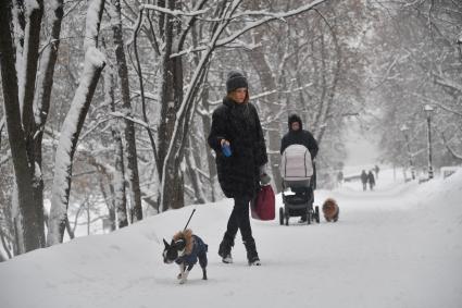 Москва. Горожане во время прогулки по территории музея-заповедника `Коломенское`.