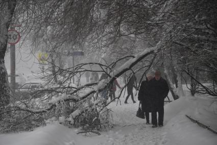 Москва. Пешеходы на заснеженных улицах города.