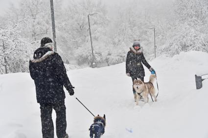 Москва. Девушка   с собакой в парке.