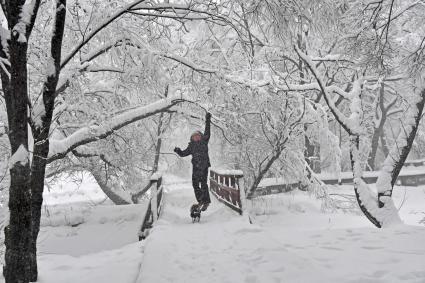 Моска.  Мужчина с собакой в парке.