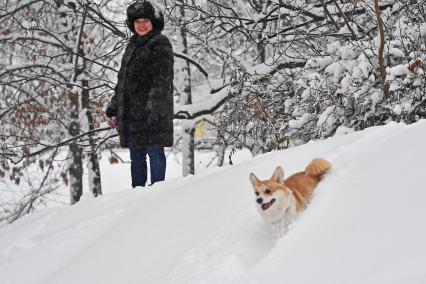 Москва. Прогулка в парке.