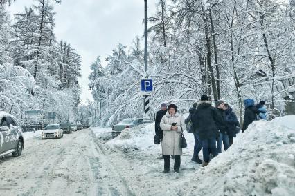 Московская область. На одной из улиц после снегопада.