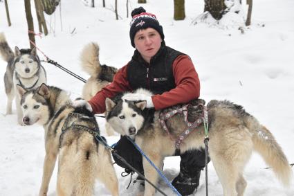 Москва. Катание на собачьих упряжках в Хаски-парке в `Сокольниках`.