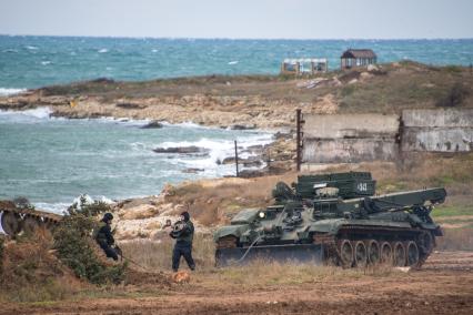 Крым. Высадка десанта морской пехоты во время учений .