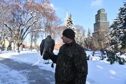 Москва. Военнослужащий   Соколиной службы комендатуры Московского Кремля  с соколом Альфой.