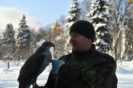 Москва. Военнослужащий   Соколиной службы комендатуры Московского Кремля  с соколом Альфой.