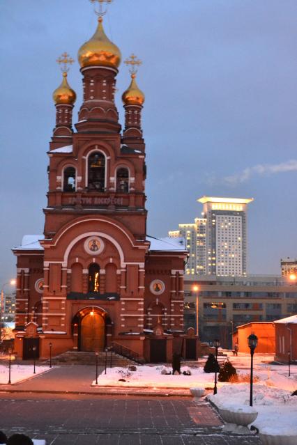 Москва.  Вид на Алексеевский Ставропигиальный женский монастырь.