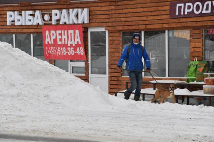 Московская область. Мужчина выгуливает собаку .