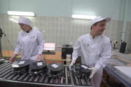 Беларусь, Слуцк. В цехах сыродельного комбината.