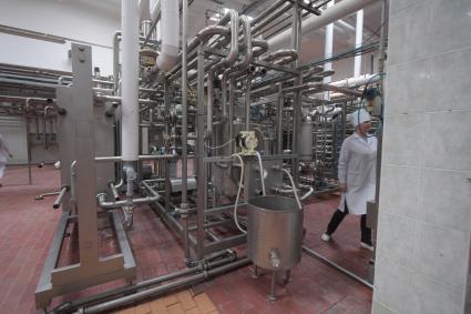 Беларусь, Слуцк. В цехах сыродельного комбината.