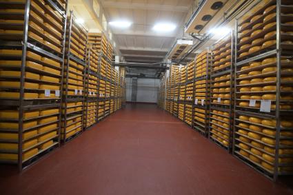 Беларусь, Слуцк. Склад готовой продукции сыродельного комбината.