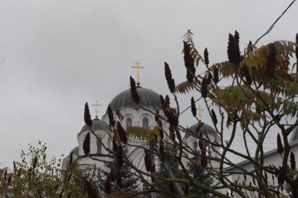 Беларусь. Минская область. Полоцк. Вид на Крестовоздвиженский собор.