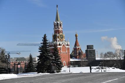 Москва. Вид на Спасскую башню с территории Кремля.