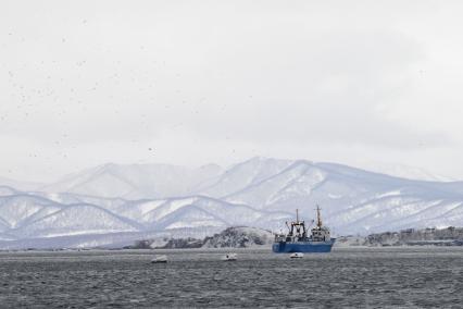 Петропавловск-Камчатский. Вид на Авачинскую бухту.