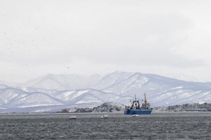 Петропавловск-Камчатский. Вид на  Авачинскую бухту.