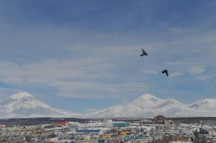 Петропавловск-Камчатский. Вид на город.