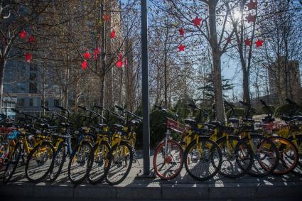Китай, Пекин. Прокатные велосипеды.