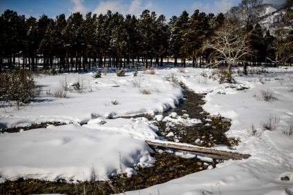 Бурятия, поселок Аршан. Река Кынгарга  в окрестностях поселка.