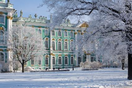 Санкт-Петербург.  Деревья в снегу в саду Зимнего дворца.