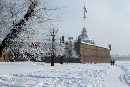 Санкт-Петербург. Деревья в снегу у Петропавловской крепости.