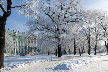 Санкт-Петербург.  Деревья в снегу в саду Зимнего дворца.