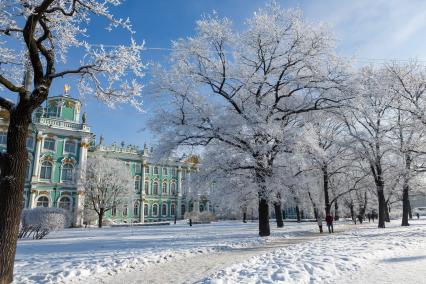 Санкт-Петербург.  Деревья в снегу в саду Зимнего дворца.