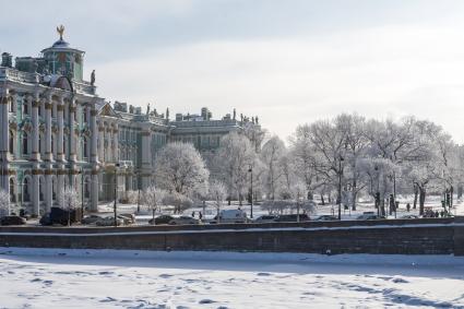 Санкт-Петербург.  Деревья в снегу в саду Зимнего дворца.