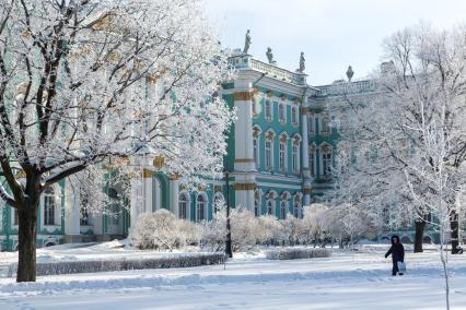 Санкт-Петербург.  Деревья в снегу в саду Зимнего дворца.